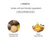 Natural Dead Sea Magnesium Oil with Cedarwood & Neroli ‚Äì 4oz Topical Oil for Muscle Relief & Skin Hydration ‚Äì Promotes Relaxation & Replenishes Ma